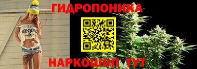 мяу мяу мука Балахна