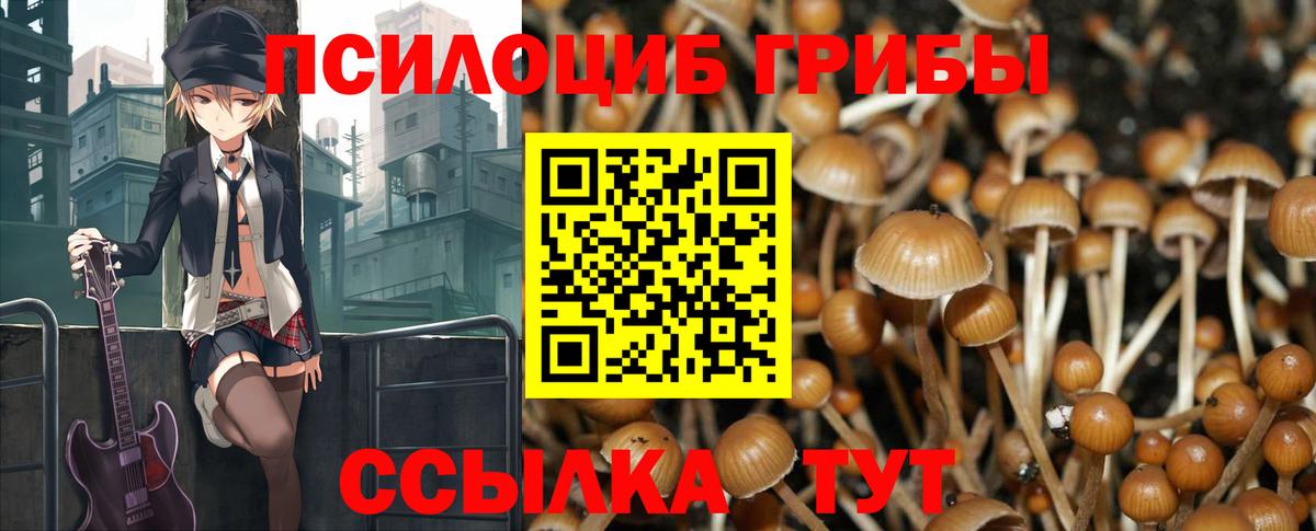 Ачинск  Псилоцибиновые грибы MAGIC MUSHROOMS  Вход с VPN  Галлюциногенные грибы GOLDEN TEACHER 